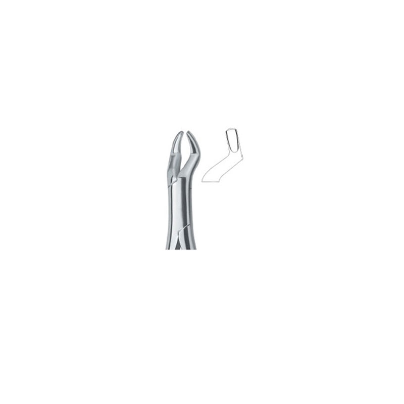 Extraction Forceps (American)