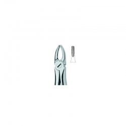 Extraction forceps (English)