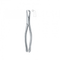 Extraction Forceps (American)
